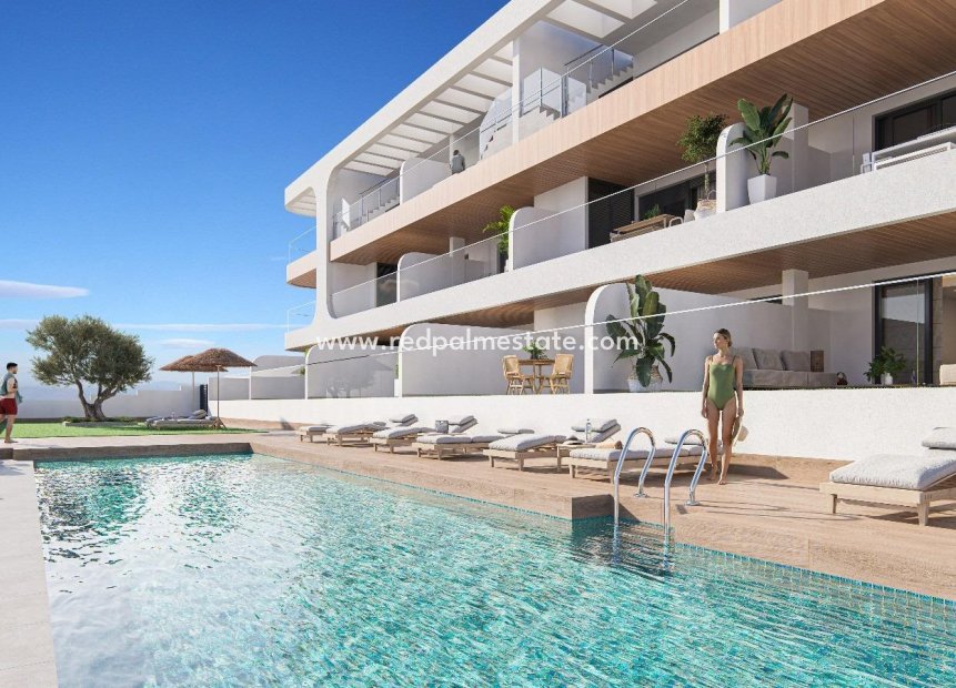 Nouvelle construction - Appartement -
Benijofar - Pueblo