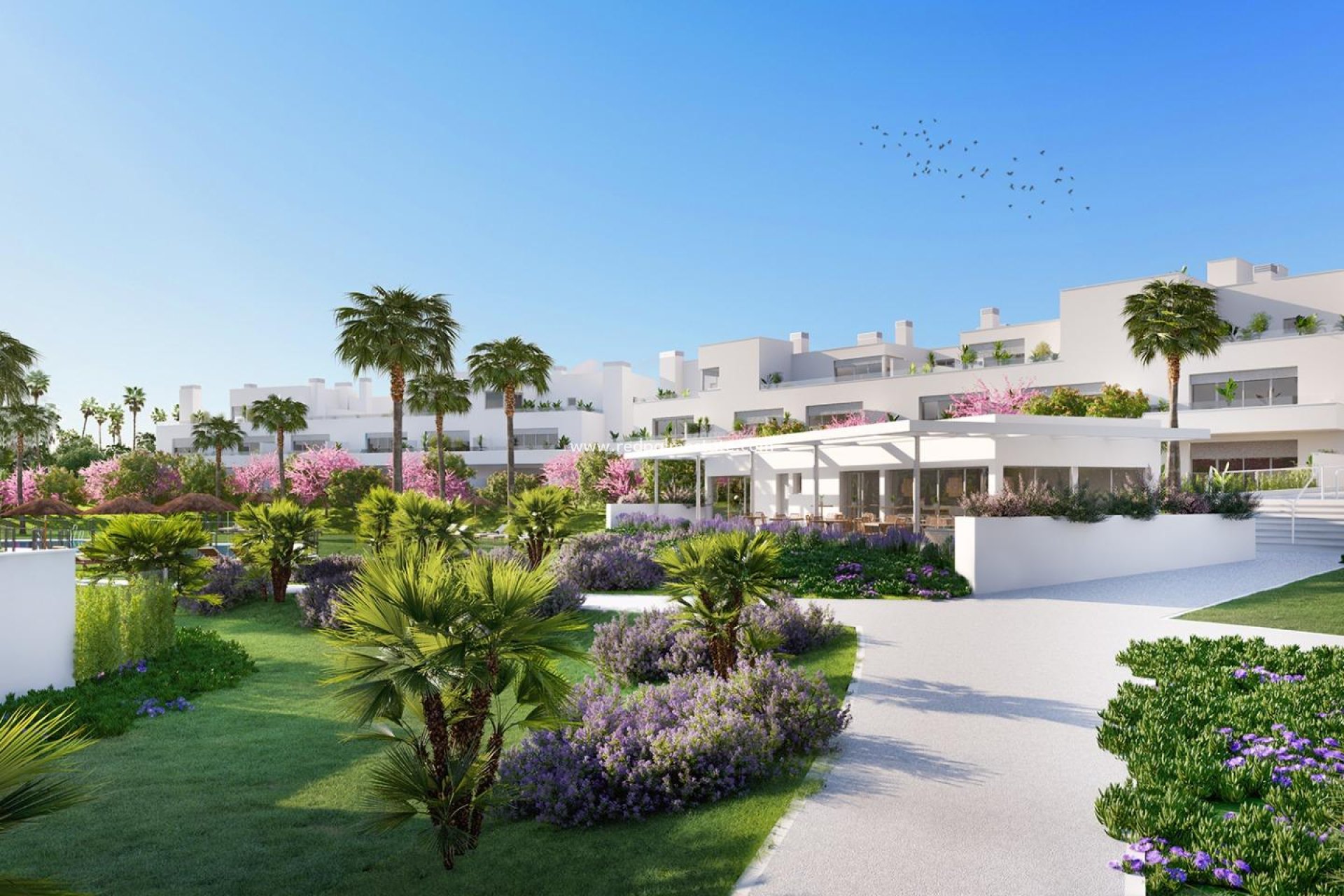 Nouvelle construction - Appartement -
Estepona - Riviera beach