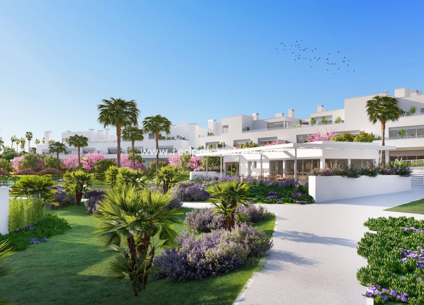 Nouvelle construction - Appartement -
Estepona