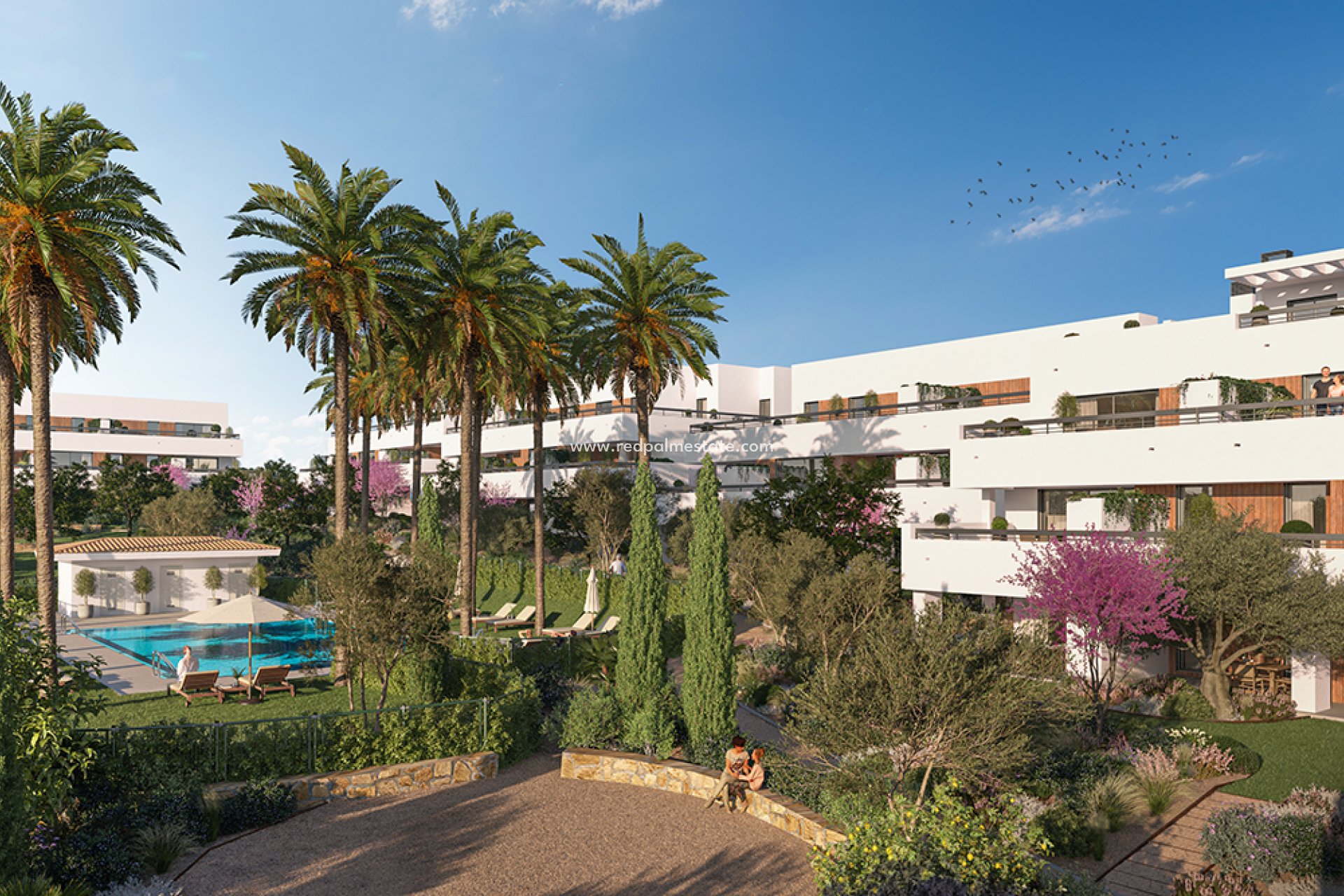 Nouvelle construction - Appartement -
Estepona