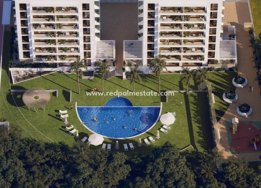 Nouvelle construction - Appartement -
Guardamar del Segura - Avda del Puerto