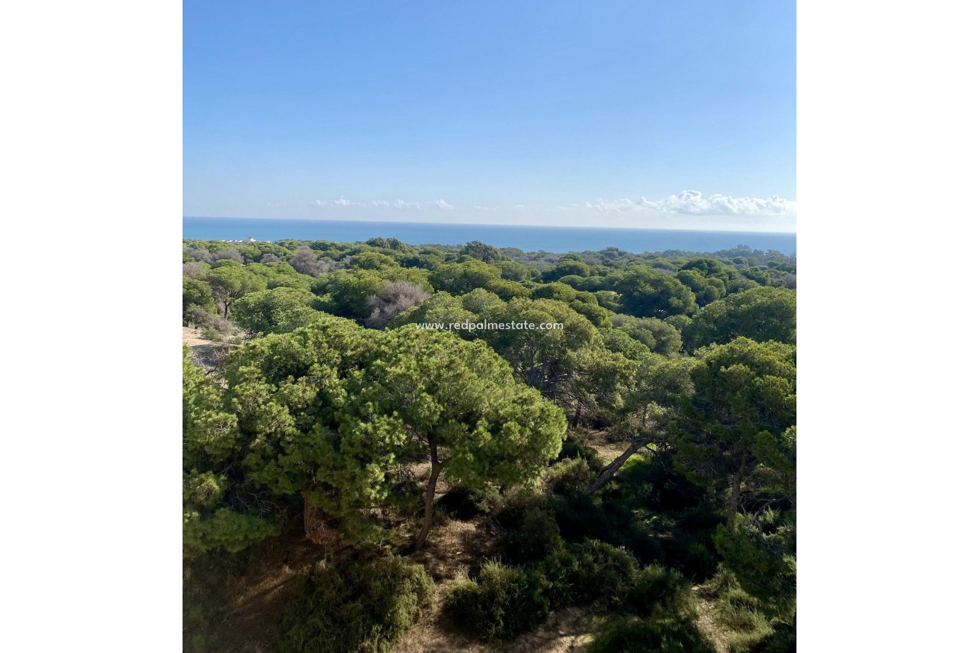Nouvelle construction - Appartement -
Guardamar del Segura - Guardamar
