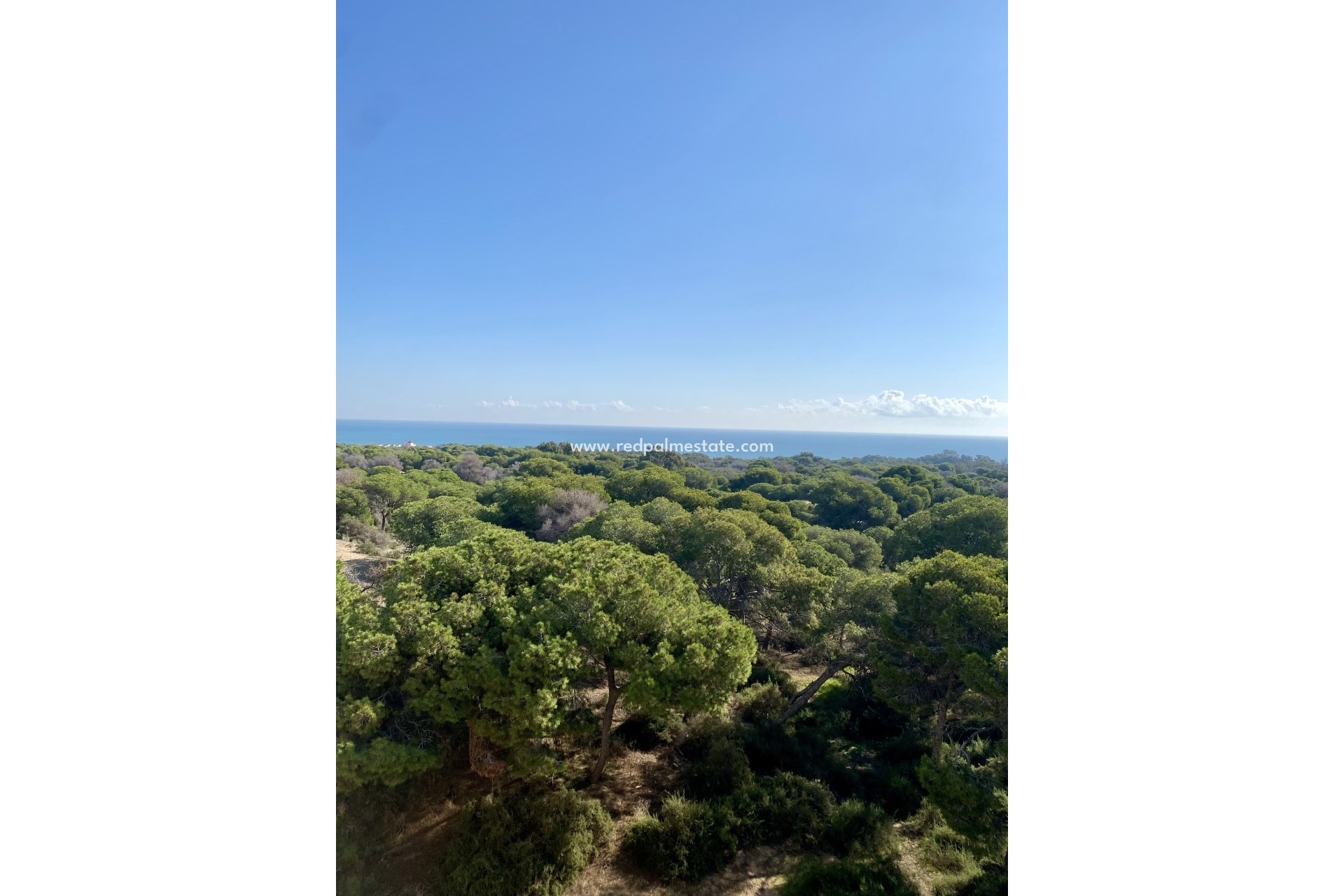 Nouvelle construction - Appartement -
Guardamar del Segura - Guardamar