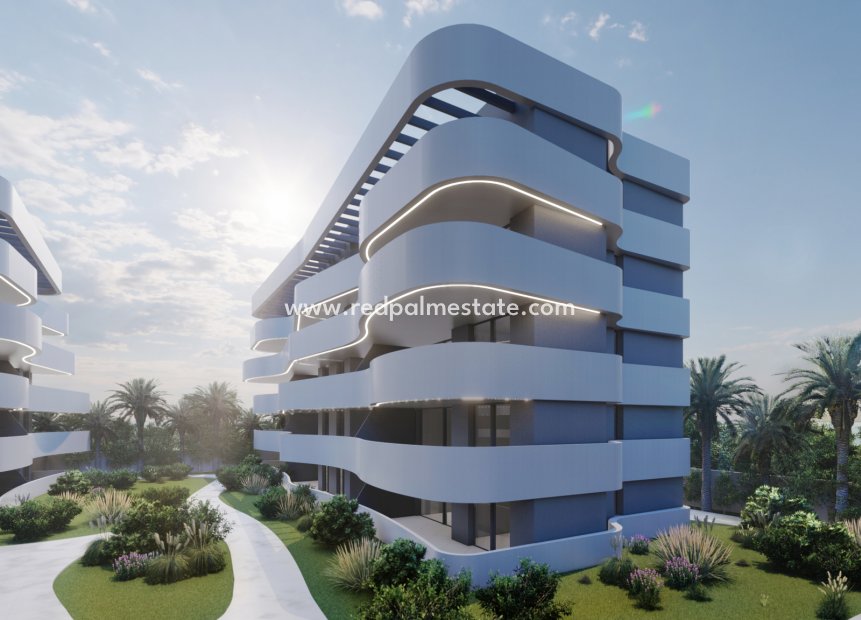Nouvelle construction - Appartement -
Guardamar del Segura - Guardamar