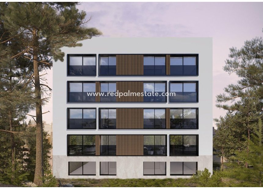Nouvelle construction - Appartement -
Guardamar del Segura - Pueblo