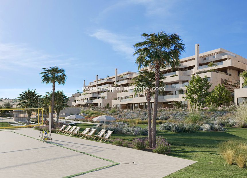 Nouvelle construction - Appartement -
La Alcaidesa