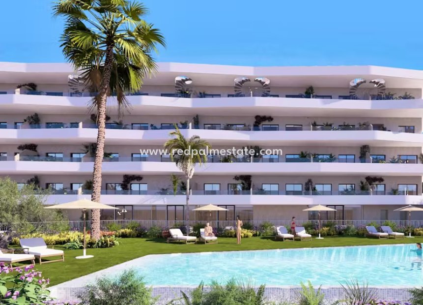 Nouvelle construction - Appartement -
La Nucía