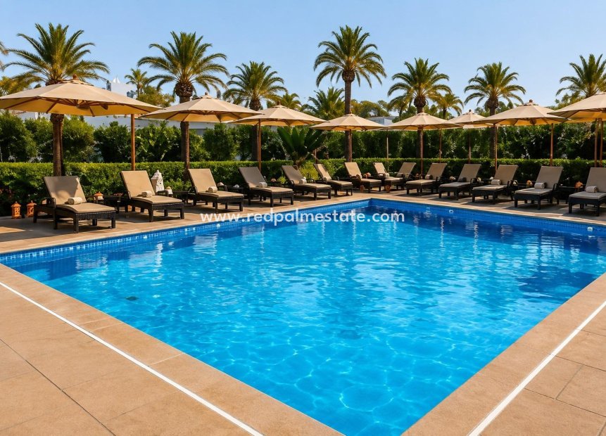 Nouvelle construction - Appartement -
Los Alczares - Playa Lo Sola