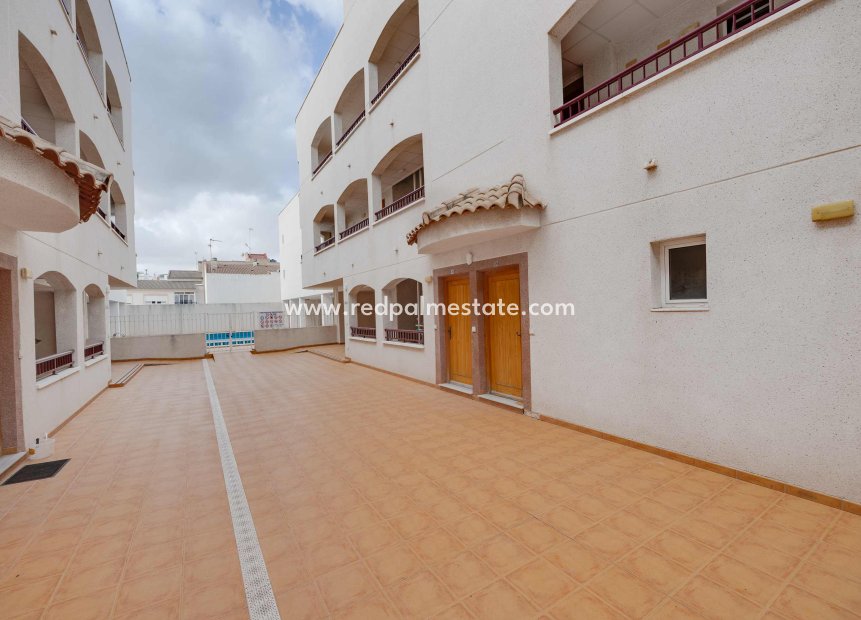 Nouvelle construction - Appartement -
San Fulgencio