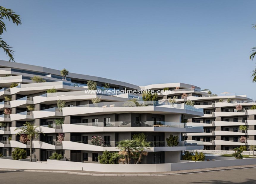 Nouvelle construction - Appartement -
San Miguel de Salinas - Pueblo