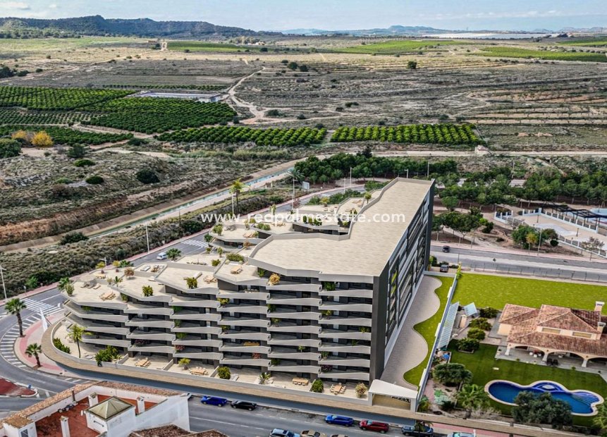Nouvelle construction - Appartement -
San Miguel de Salinas - Pueblo