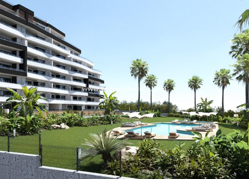 Nouvelle construction - Appartement -
San Miguel de Salinas - Pueblo