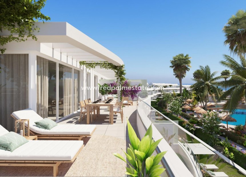 Nouvelle construction - Appartement -
San Roque - Alcaidesa
