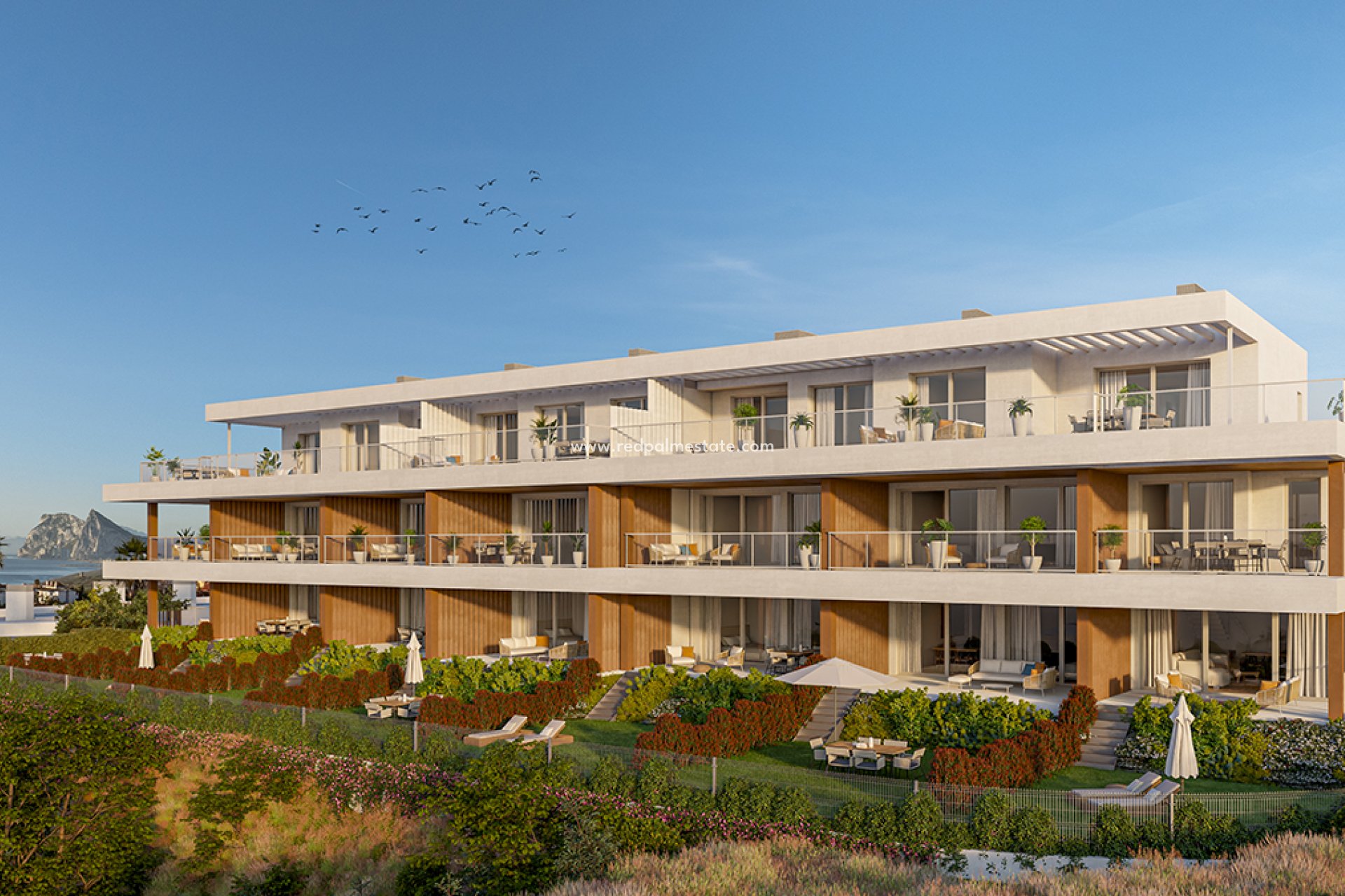 Nouvelle construction - Appartement -
San Roque