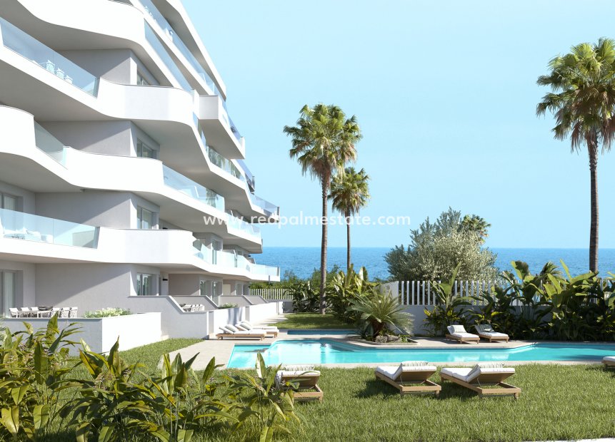 Nouvelle construction - Appartement -
Torre de la Horadada - Mil Palmeras