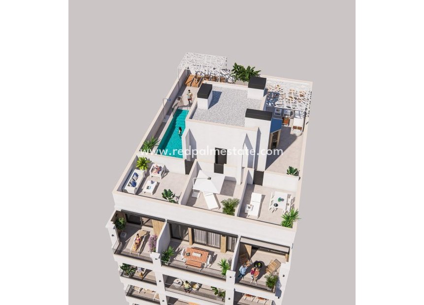 Nouvelle construction - Appartement -
Torrevieja - Centro Torrevieja