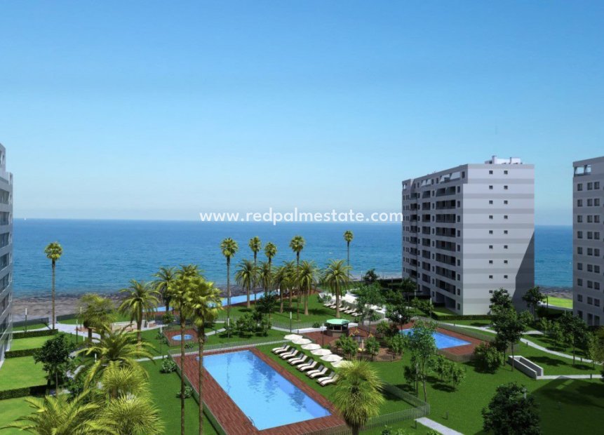 Nouvelle construction - Appartement -
Torrevieja - Punta Prima