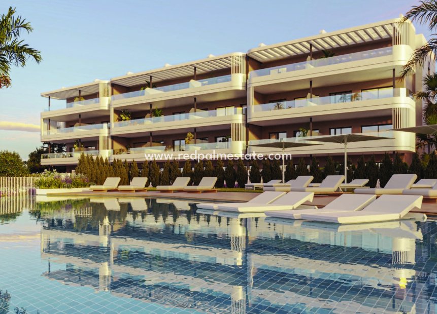 Nouvelle construction - Appartement -
Torrevieja