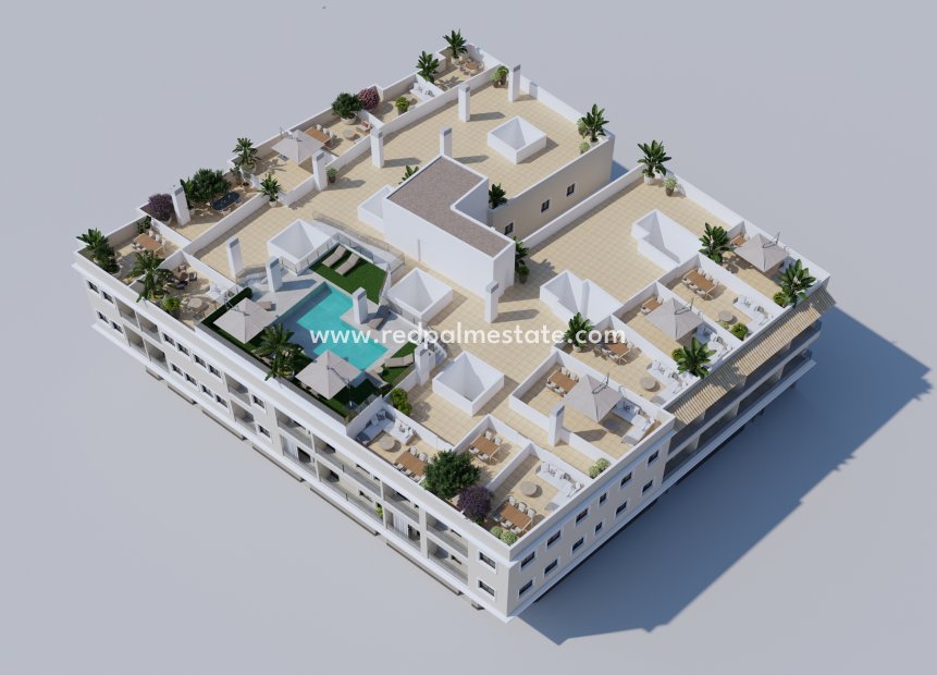 Nouvelle construction - Appartements -
Algorfa