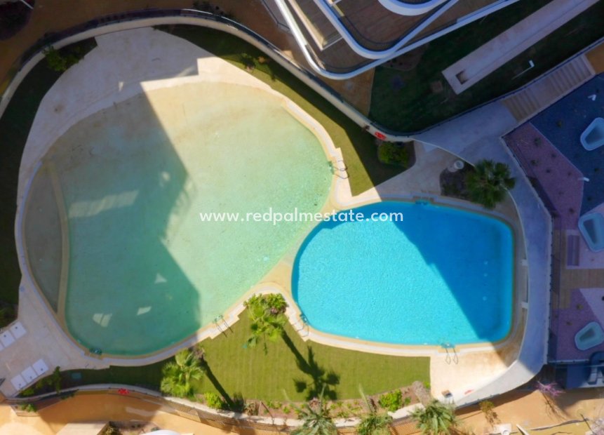 Nouvelle construction - Appartements -
Benidorm - Alicante