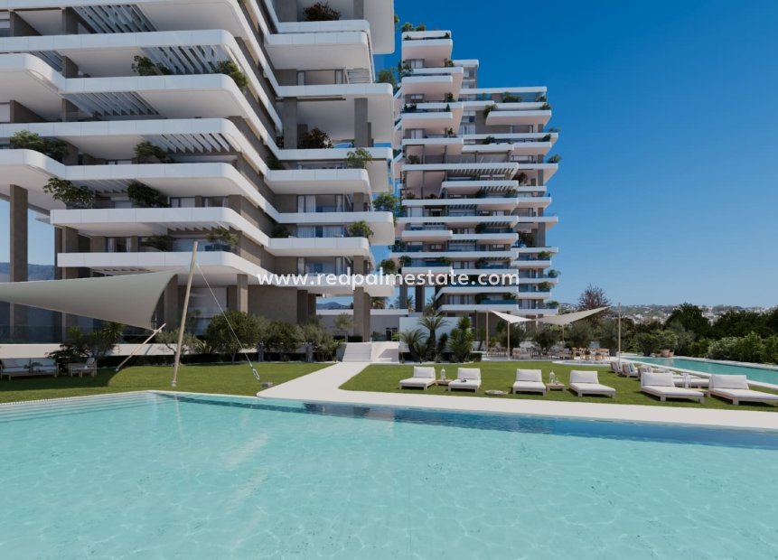 Nouvelle construction - Appartements -
Calpe
