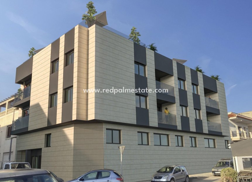 Nouvelle construction - Appartements -
Catral - pueblo