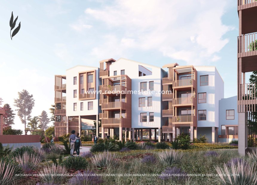 Nouvelle construction - Appartements -
El Verger