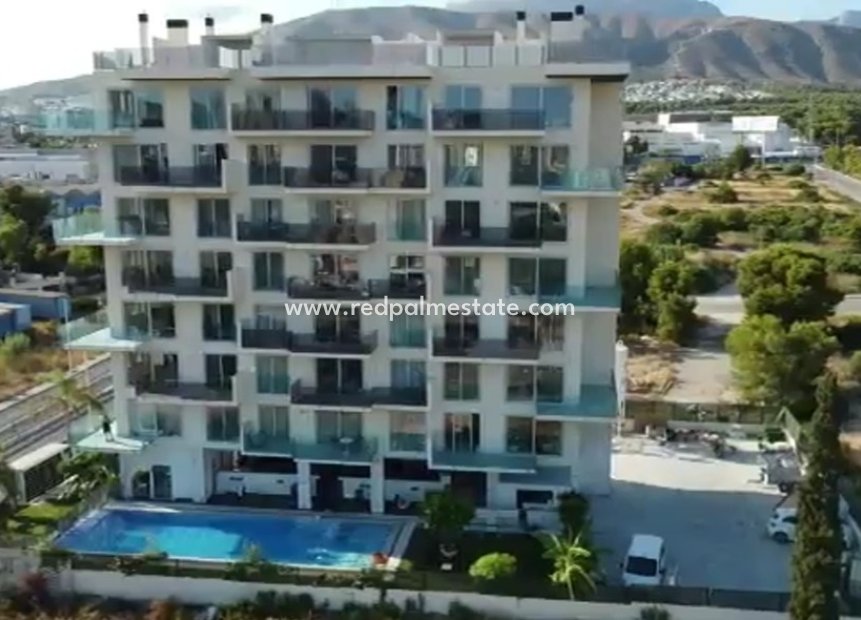 Nouvelle construction - Appartements -
Finestrat