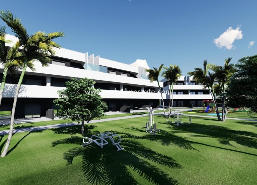 Nouvelle construction - Appartements -
Guardamar del Segura - El Raso