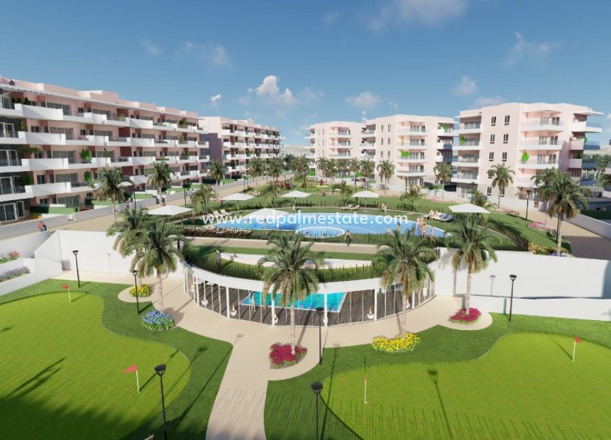 Nouvelle construction - Appartements -
Guardamar del Segura - El Raso