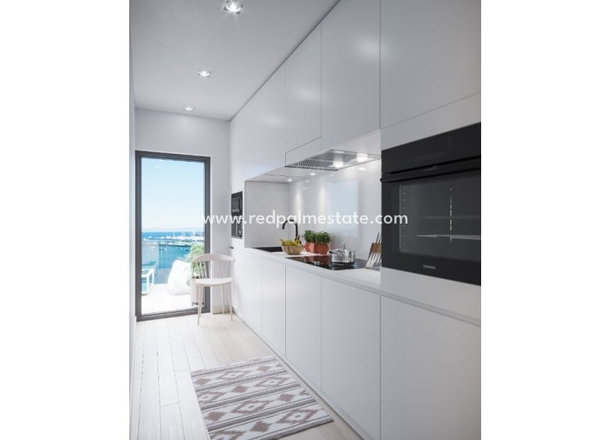 Nouvelle construction - Appartements -
Lo Pagan - Lo pagan