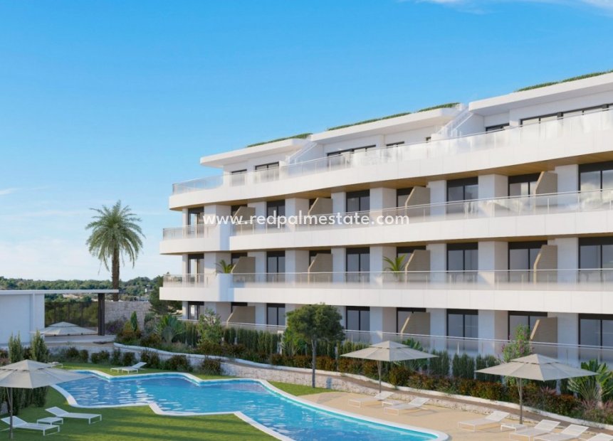 Nouvelle construction - Appartements -
Orihuela Costa - Playa Flamenca
