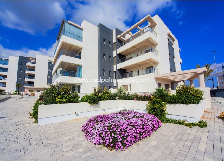 Nouvelle construction - Appartements -
Orihuela Costa - Villamartín
