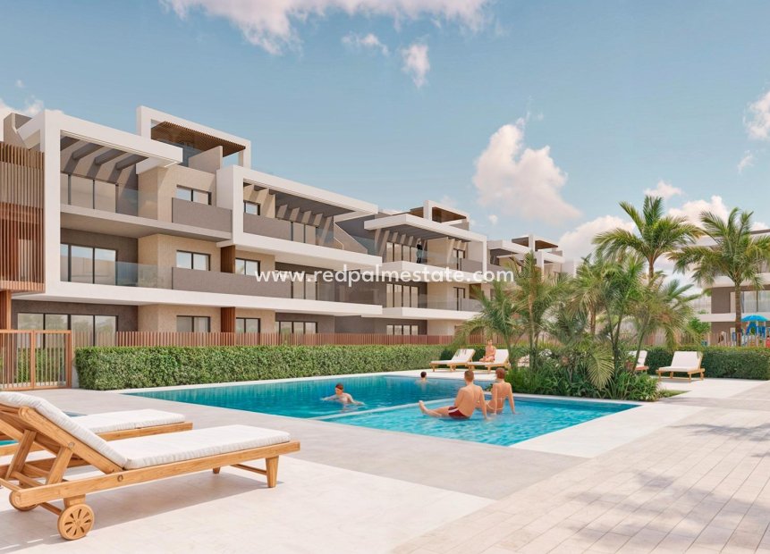 Nouvelle construction - Appartements -
Pilar de la Horadada - Playa de las Higuericas