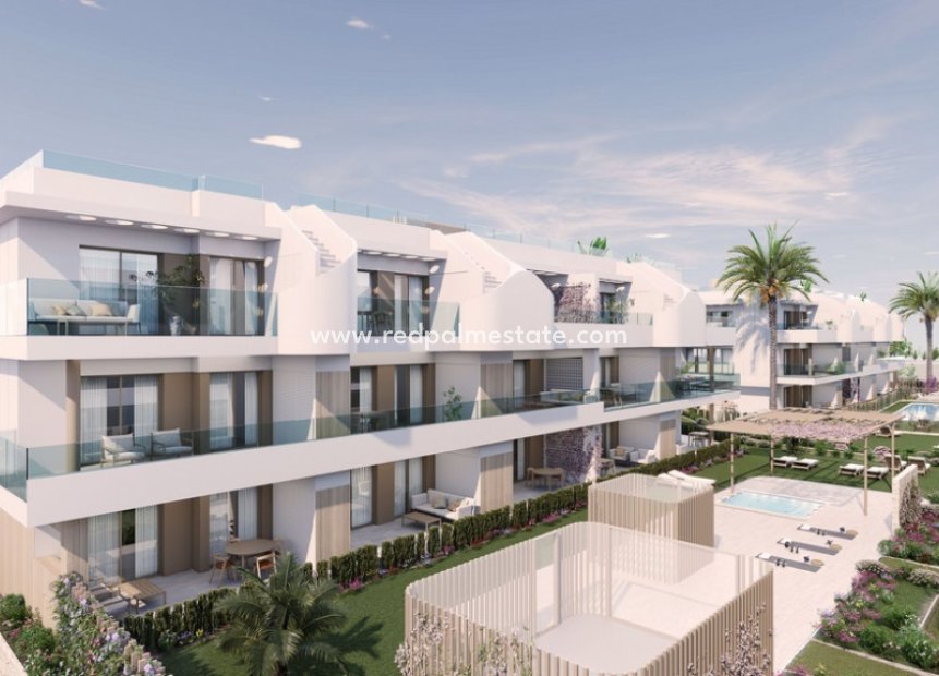 Nouvelle construction - Appartements -
Pilar de la Horadada