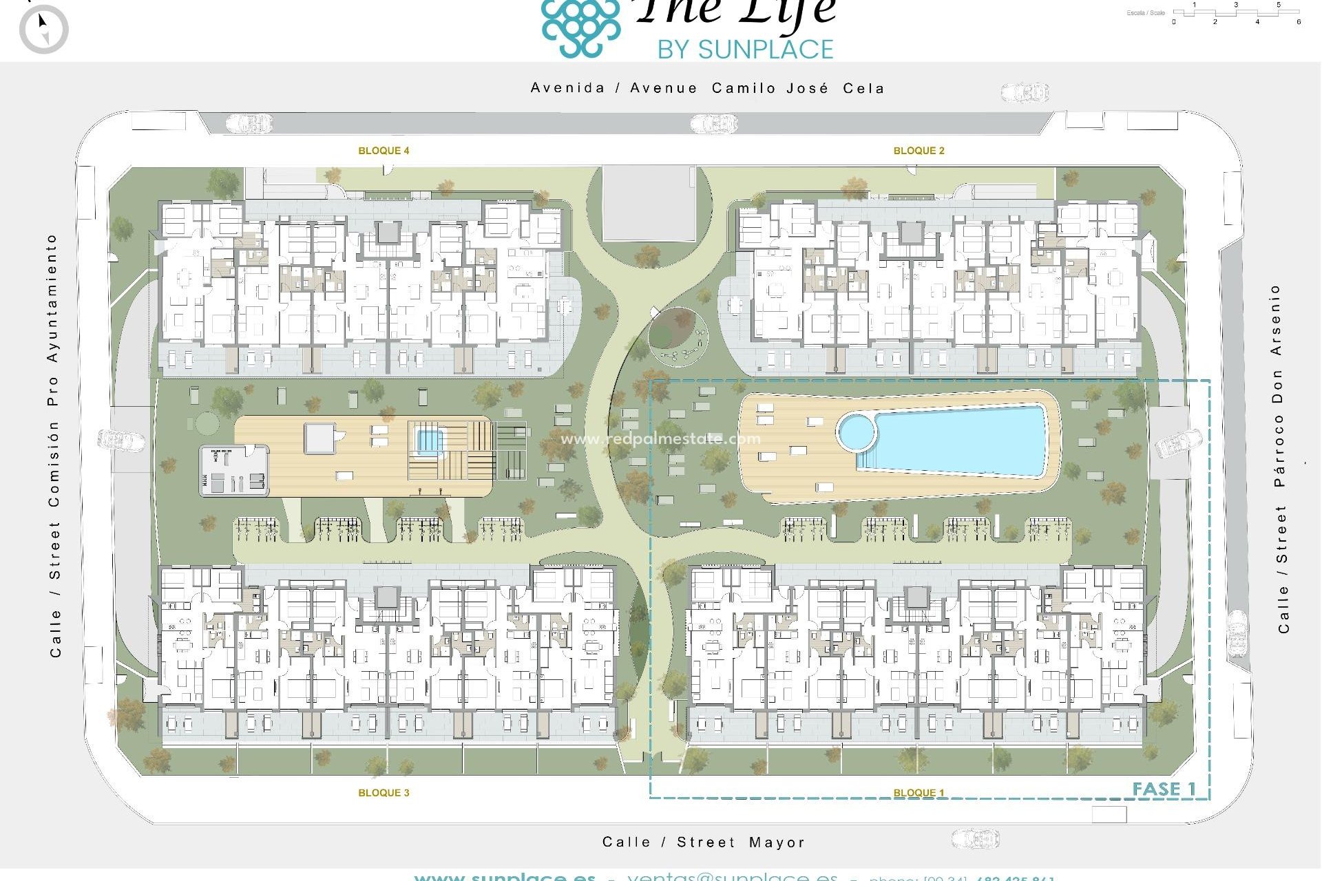 Nouvelle construction - Appartements -
Pilar de la Horadada