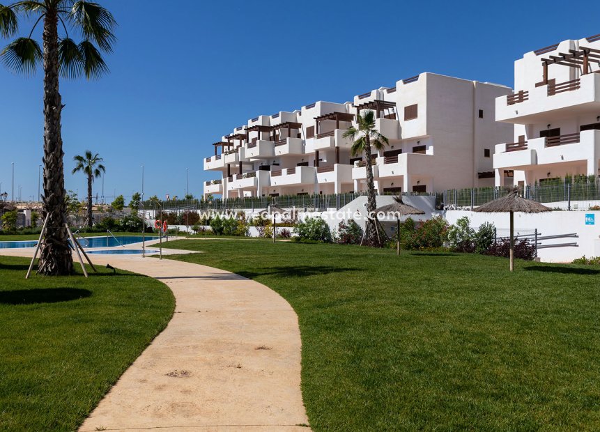 Nouvelle construction - Appartements -
Pulpi