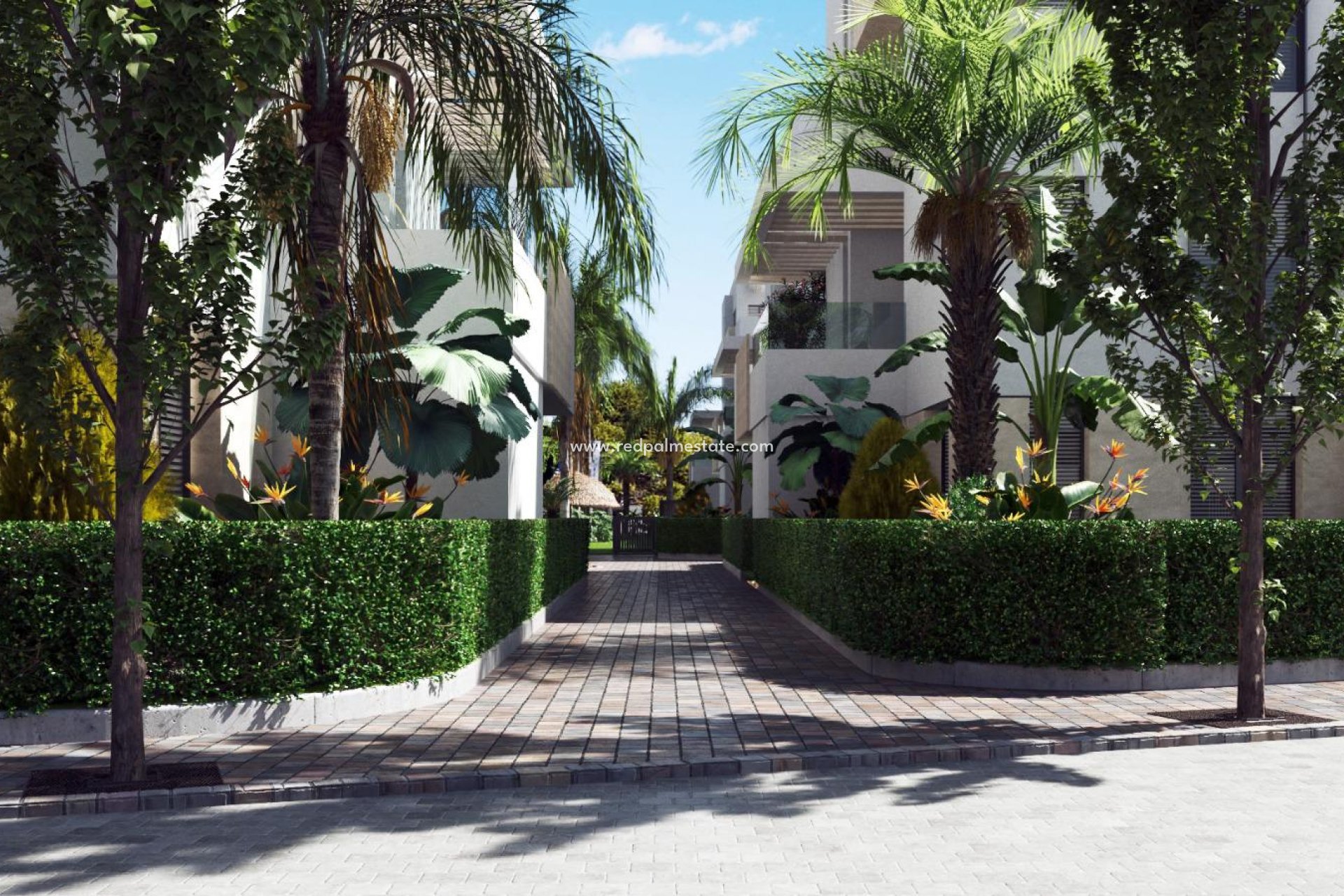 Nouvelle construction - Appartements -
Santa Rosalia Resort - Santa Rosalia