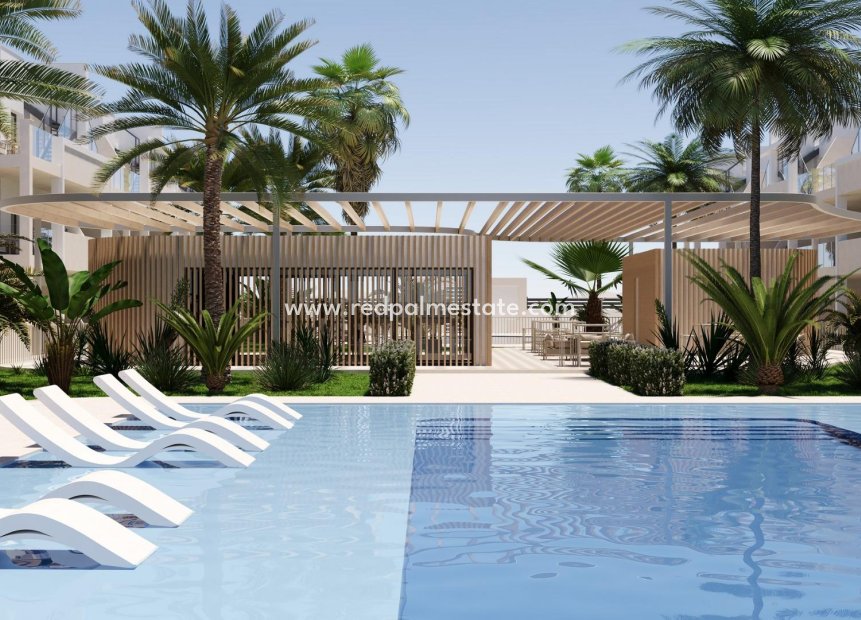 Nouvelle construction - Appartements -
Torre Pacheco - San Cayetano