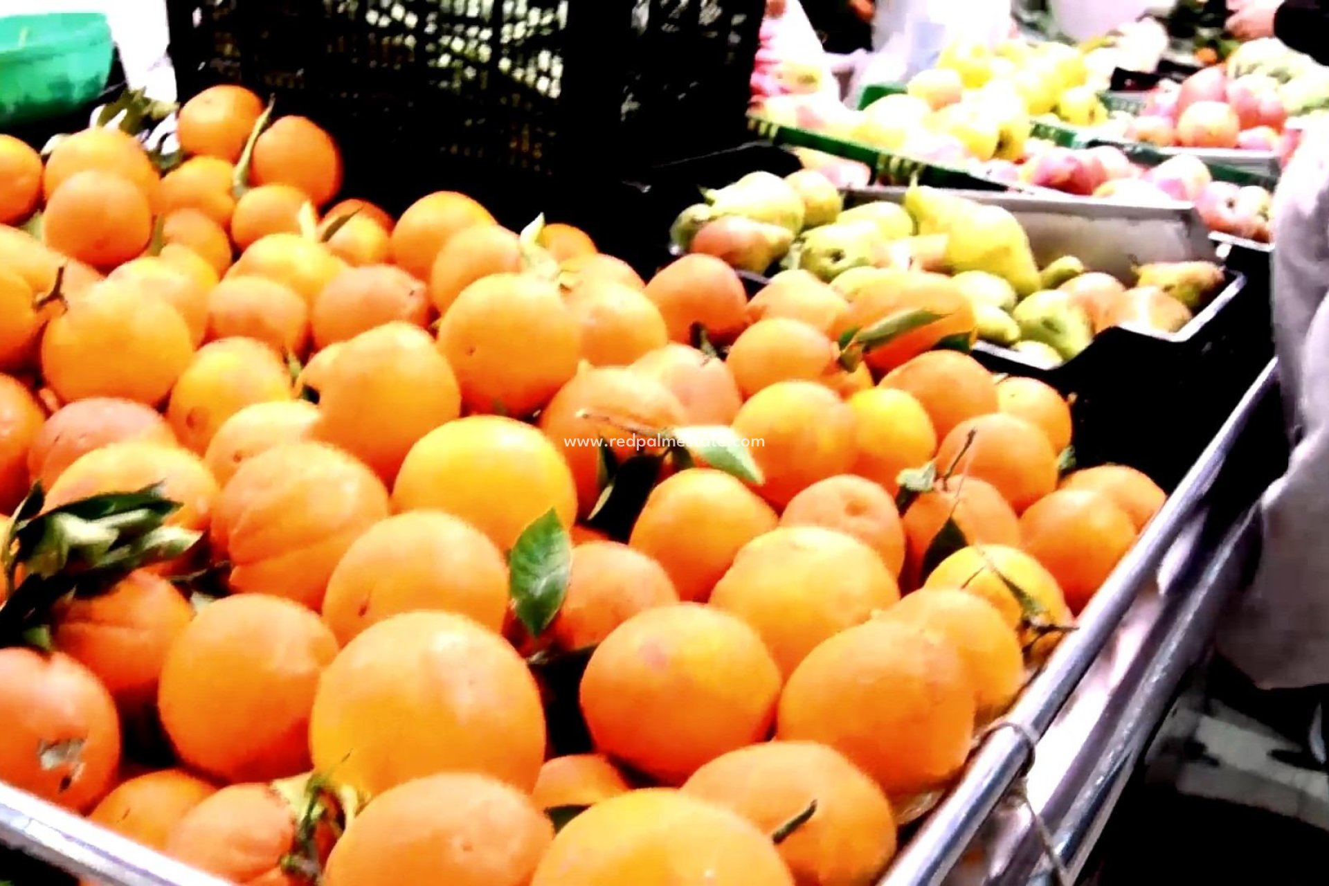 Nouvelle construction - Appartements -
Torrevieja - Centro