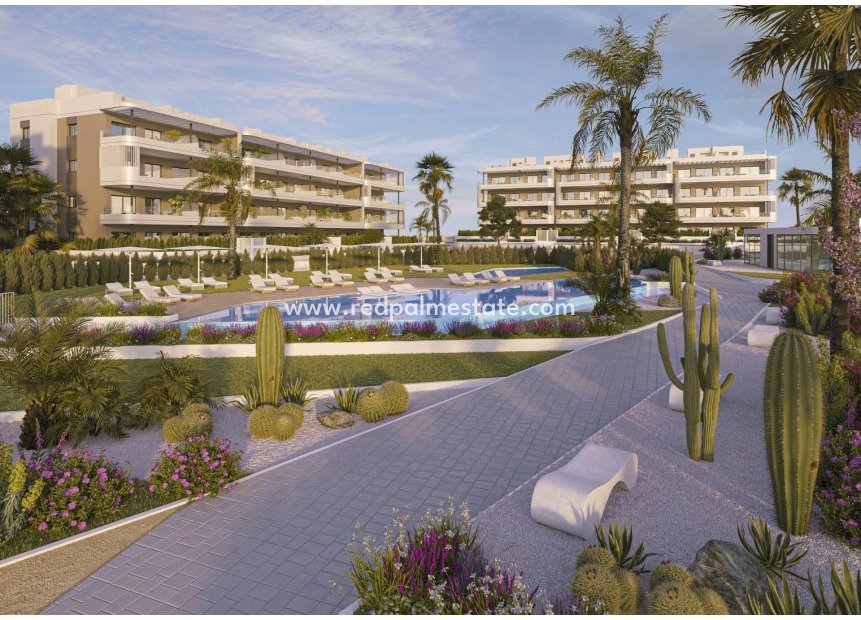 Nouvelle construction - Appartements -
Torrevieja - La Hoya