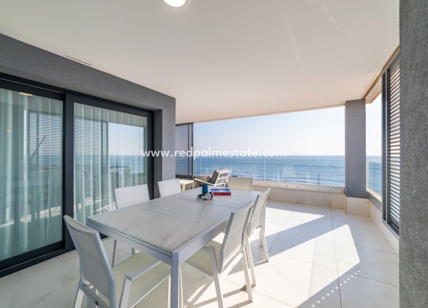 Nouvelle construction - Appartements -
Torrevieja