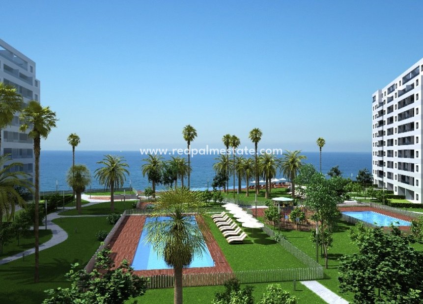 Nouvelle construction - Appartements -
Torrevieja