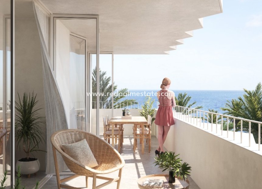 Nouvelle construction - Appartements -
Torrevieja