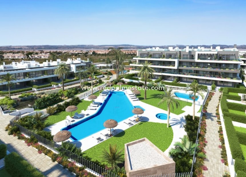 Nouvelle construction - Appartements -
Torrevieja