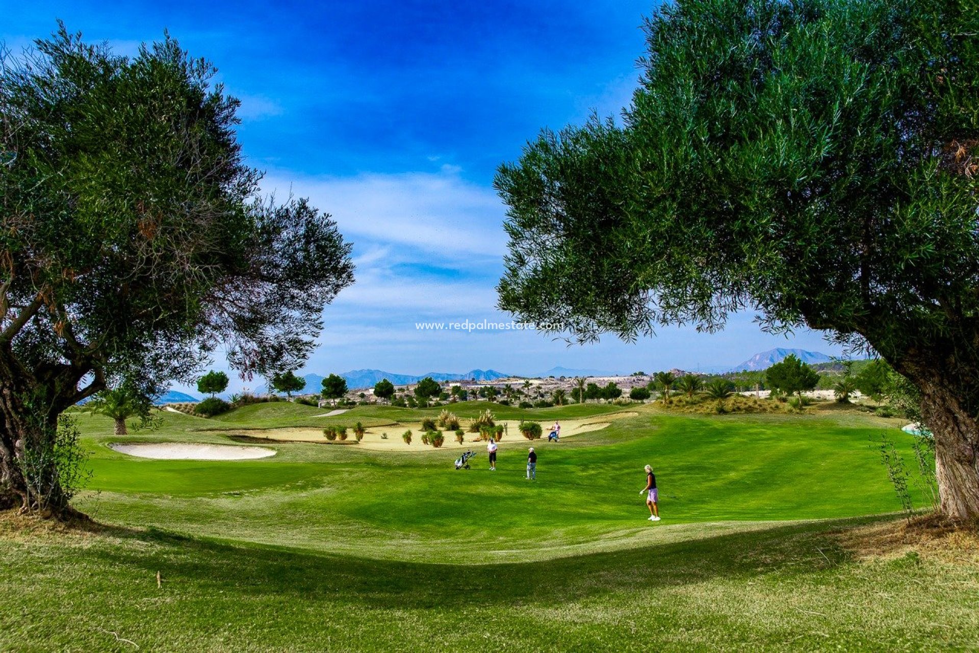 Nouvelle construction - Bungalow -
Orihuela Costa - Vistabella Golf Entre Naranjos