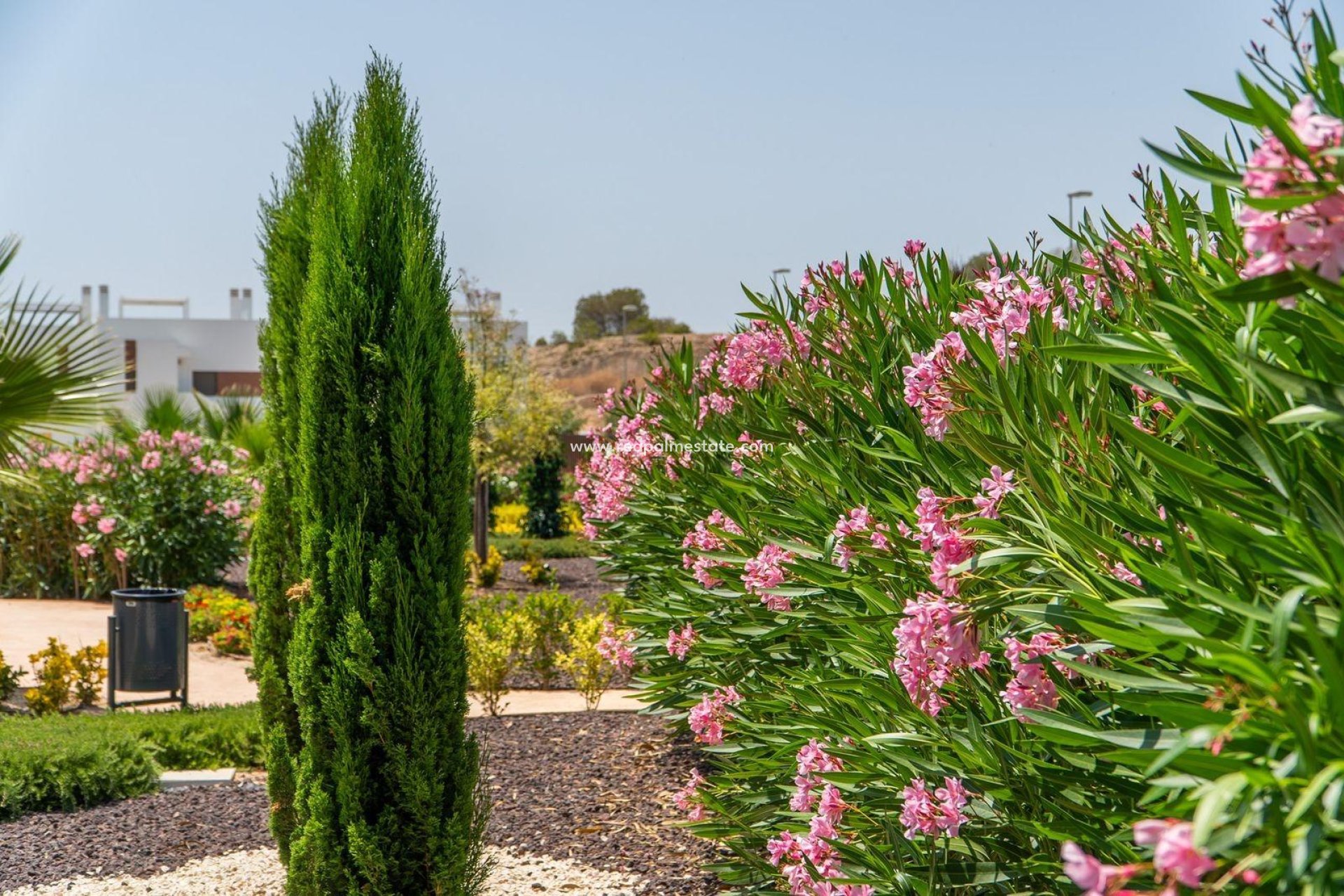 Nouvelle construction - Bungalow -
Orihuela Costa - Vistabella Golf