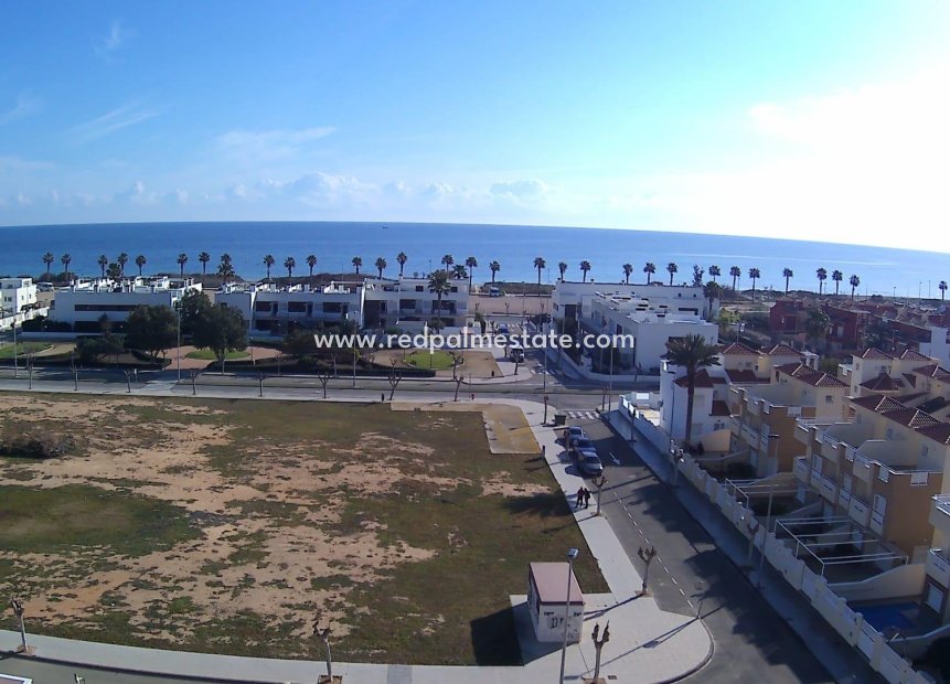 Nouvelle construction - Bungalow -
Pilar de la Horadada - Playa de las Higuericas