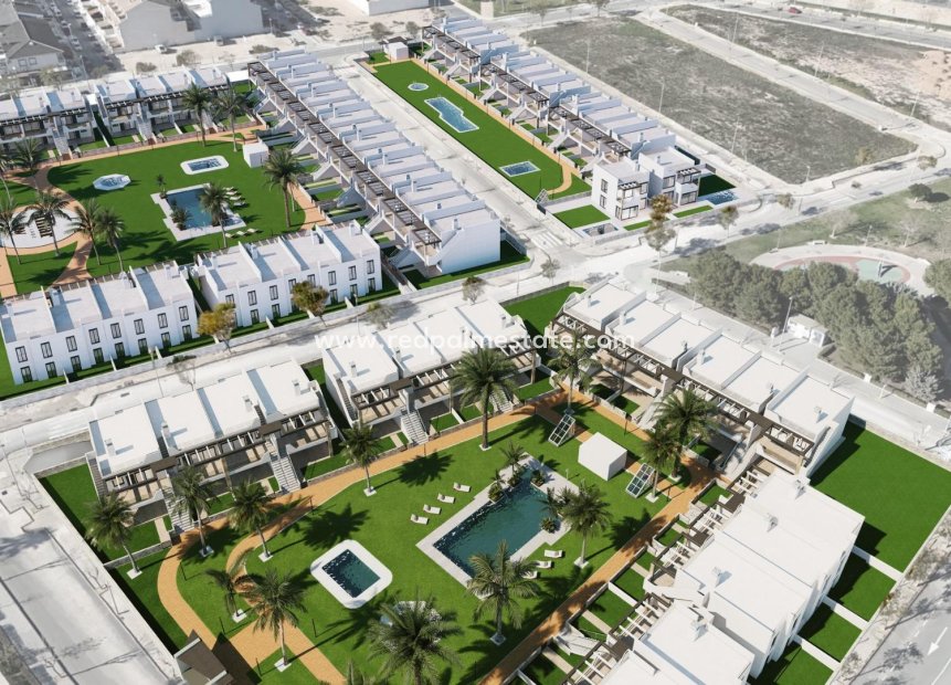 Nouvelle construction - Bungalow -
Pilar de la Horadada - pueblo