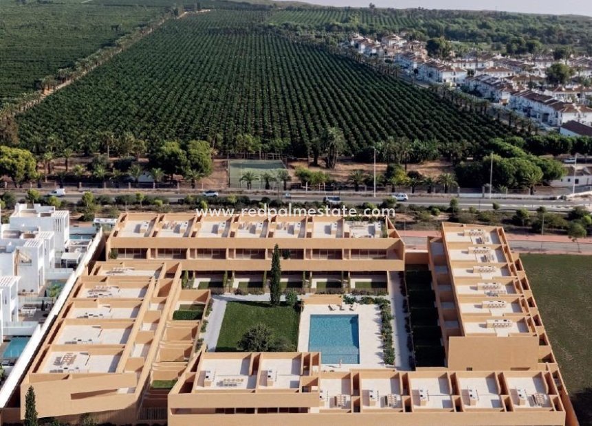 Nouvelle construction - Bungalow -
Torrevieja - Los balcones